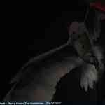 img-4256.jpg