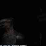 img-4334.jpg