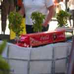 img-1720.jpg
