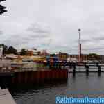 zaandam-08-09-2018-0002.jpg