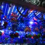 img-5470.jpg