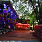 img-9737.jpg