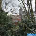 efteling-12-03-2025-178.jpg