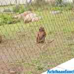 blijdorp-09-09-2020-010.jpg