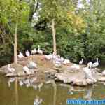 blijdorp-09-09-2020-023.jpg