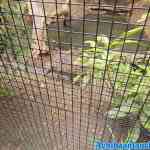 blijdorp-09-09-2020-030.jpg