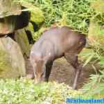 blijdorp-09-09-2020-045.jpg
