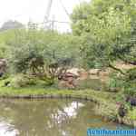 blijdorp-09-09-2020-053.jpg