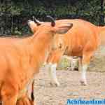 blijdorp-09-09-2020-060.jpg