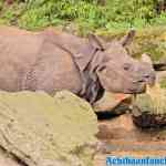 blijdorp-09-09-2020-083.jpg