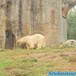 blijdorp-09-09-2020-125.jpg