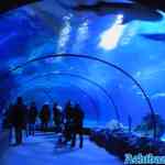 blijdorp-12-02-2022-008.jpg