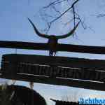 blijdorp-12-02-2022-049.jpg