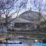blijdorp-12-02-2022-175.jpg