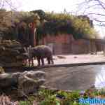 blijdorp-30-03-2022-005.jpg
