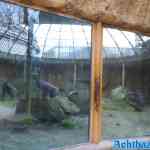 blijdorp-30-03-2022-091.jpg