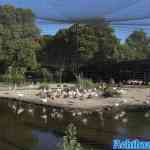 blijdorp-31-08-2022-002.jpg