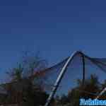 blijdorp-31-08-2022-004.jpg