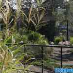 blijdorp-31-08-2022-012.jpg
