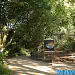 blijdorp-31-08-2022-017.jpg