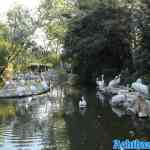blijdorp-31-08-2022-024.jpg