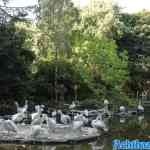 blijdorp-31-08-2022-027.jpg