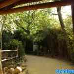 blijdorp-31-08-2022-029.jpg