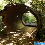blijdorp-31-08-2022-046.jpg