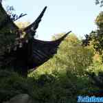 blijdorp-31-08-2022-054.jpg
