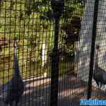 blijdorp-31-08-2022-058.jpg