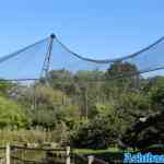 blijdorp-31-08-2022-065.jpg