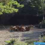 blijdorp-31-08-2022-080.jpg