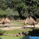 blijdorp-31-08-2022-084.jpg