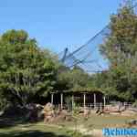 blijdorp-31-08-2022-085.jpg
