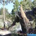 blijdorp-31-08-2022-094.jpg