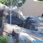 blijdorp-31-08-2022-110.jpg