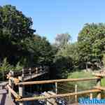 blijdorp-31-08-2022-167.jpg