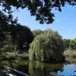 blijdorp-31-08-2022-214.jpg