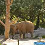 blijdorp-31-08-2022-229.jpg