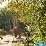 blijdorp-31-08-2022-244.jpg
