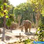 blijdorp-31-08-2022-251.jpg