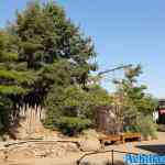 blijdorp-31-08-2022-282.jpg