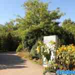 blijdorp-31-08-2022-283.jpg