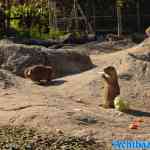blijdorp-31-08-2022-295.jpg