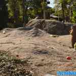blijdorp-31-08-2022-297.jpg