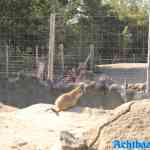 blijdorp-31-08-2022-302.jpg