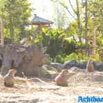 blijdorp-31-08-2022-303.jpg