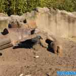 blijdorp-31-08-2022-309.jpg