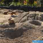 blijdorp-31-08-2022-327.jpg