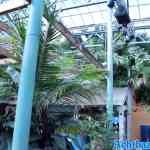 blijdorp-31-08-2022-416.jpg